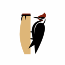 Victor Hugo Zapata Gómez